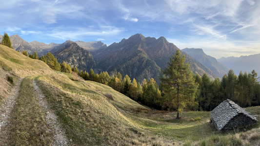 Where the Wild Calls: Answer Nature's Invitation