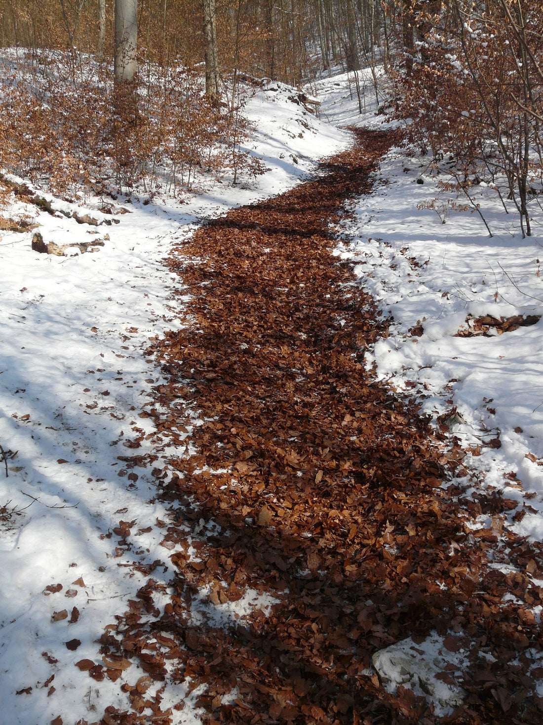 Getting Outdoors in Winter