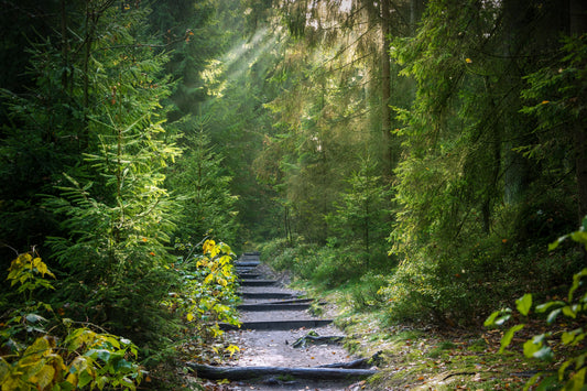 The Places Between the Destinations