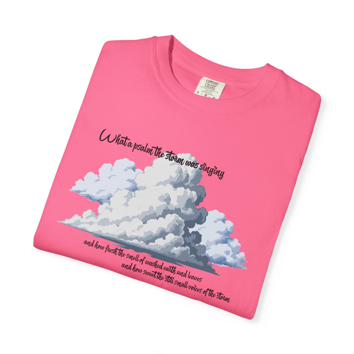 After the Storm T-Shirt