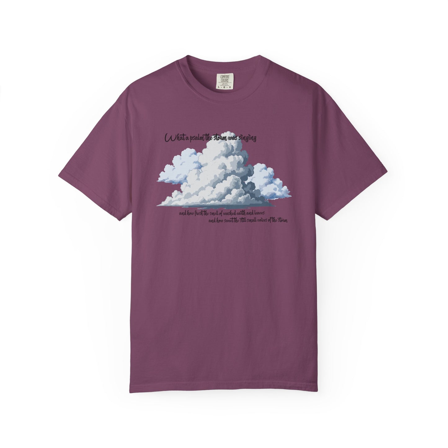 After the Storm T-Shirt