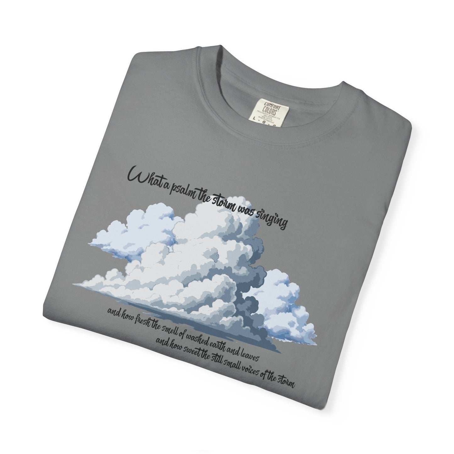 After the Storm T-Shirt