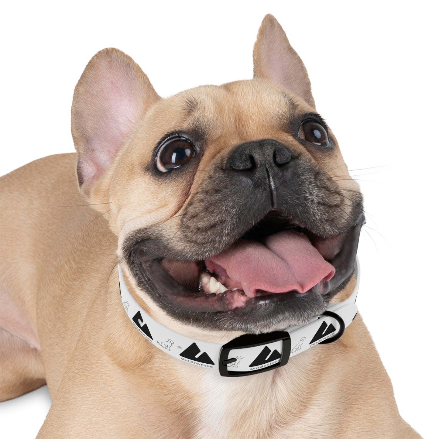 Outdoorsee Dog Collar