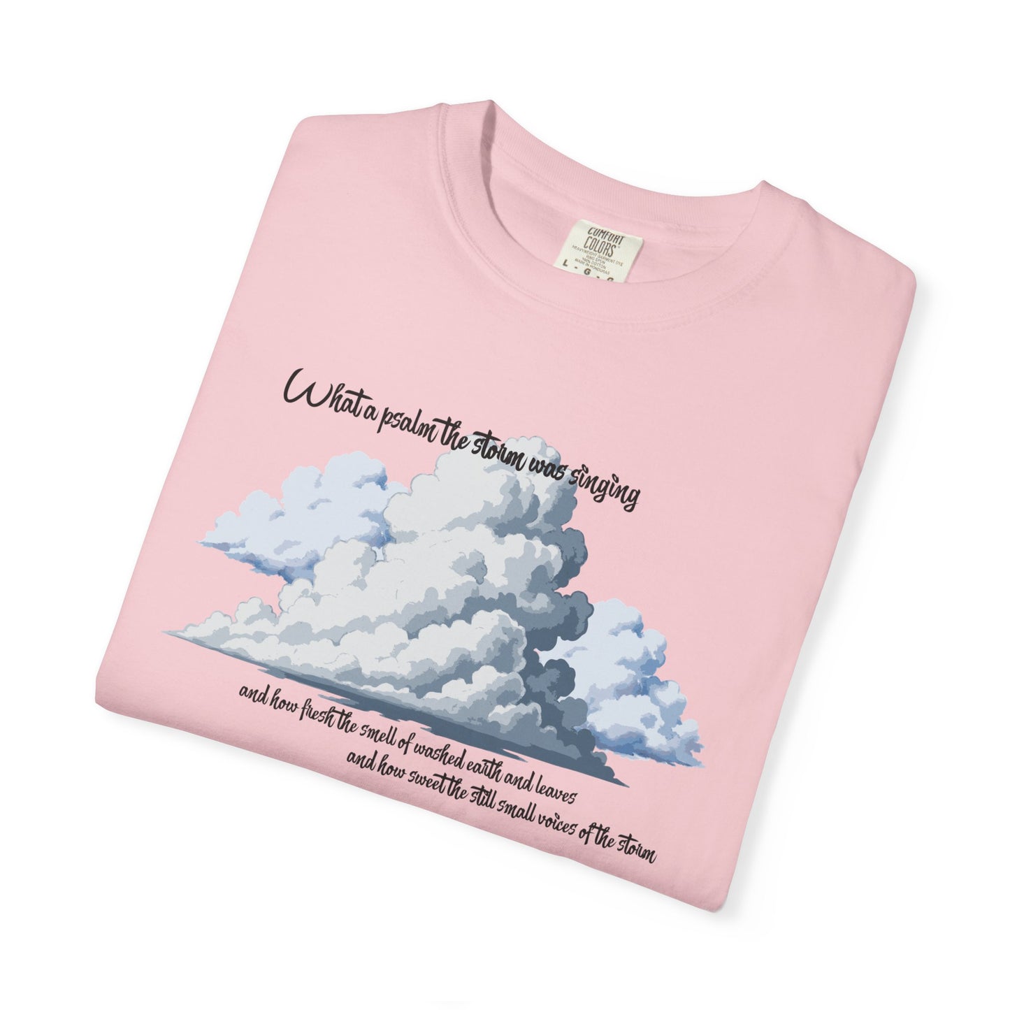 After the Storm T-Shirt