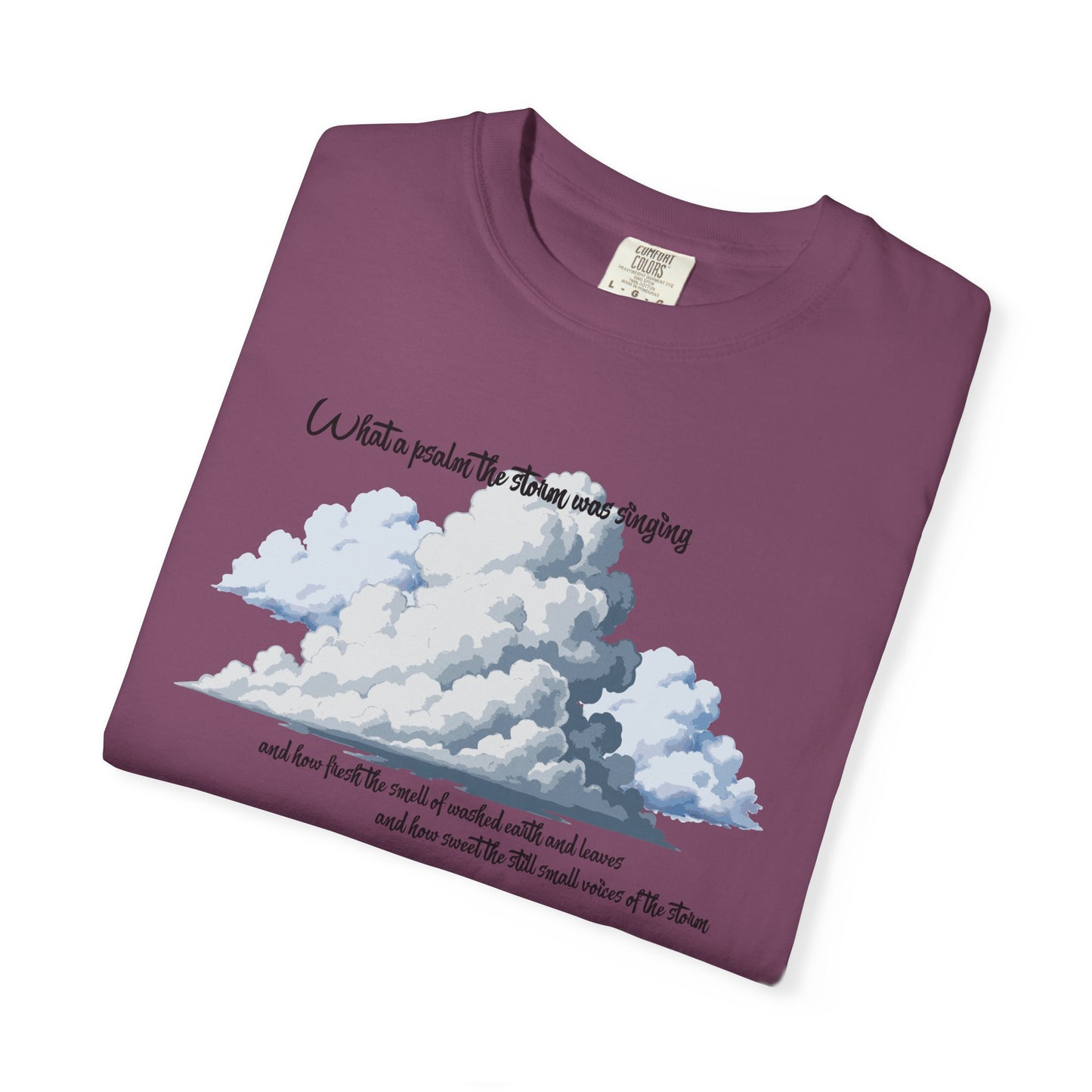 After the Storm T-Shirt