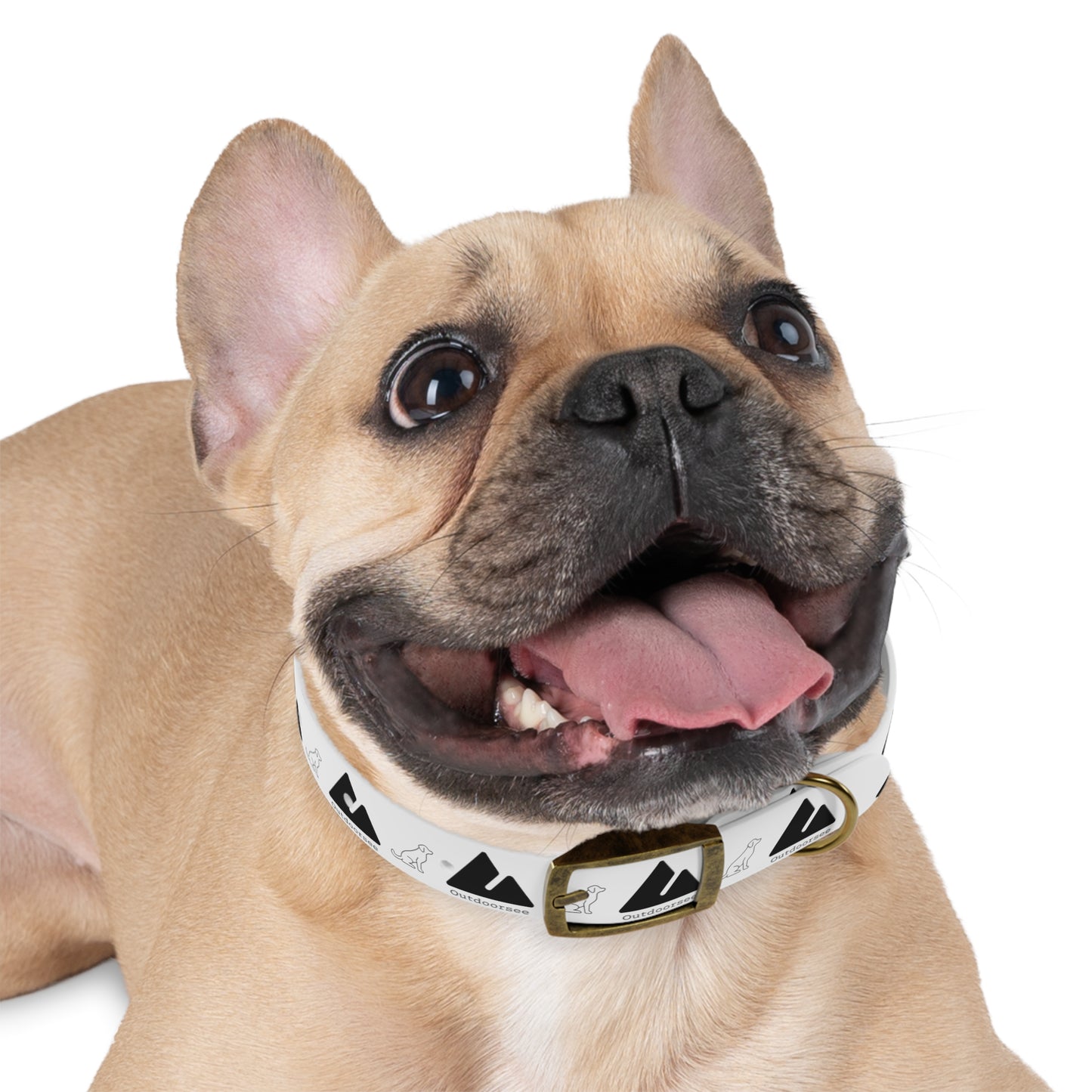 Outdoorsee Dog Collar