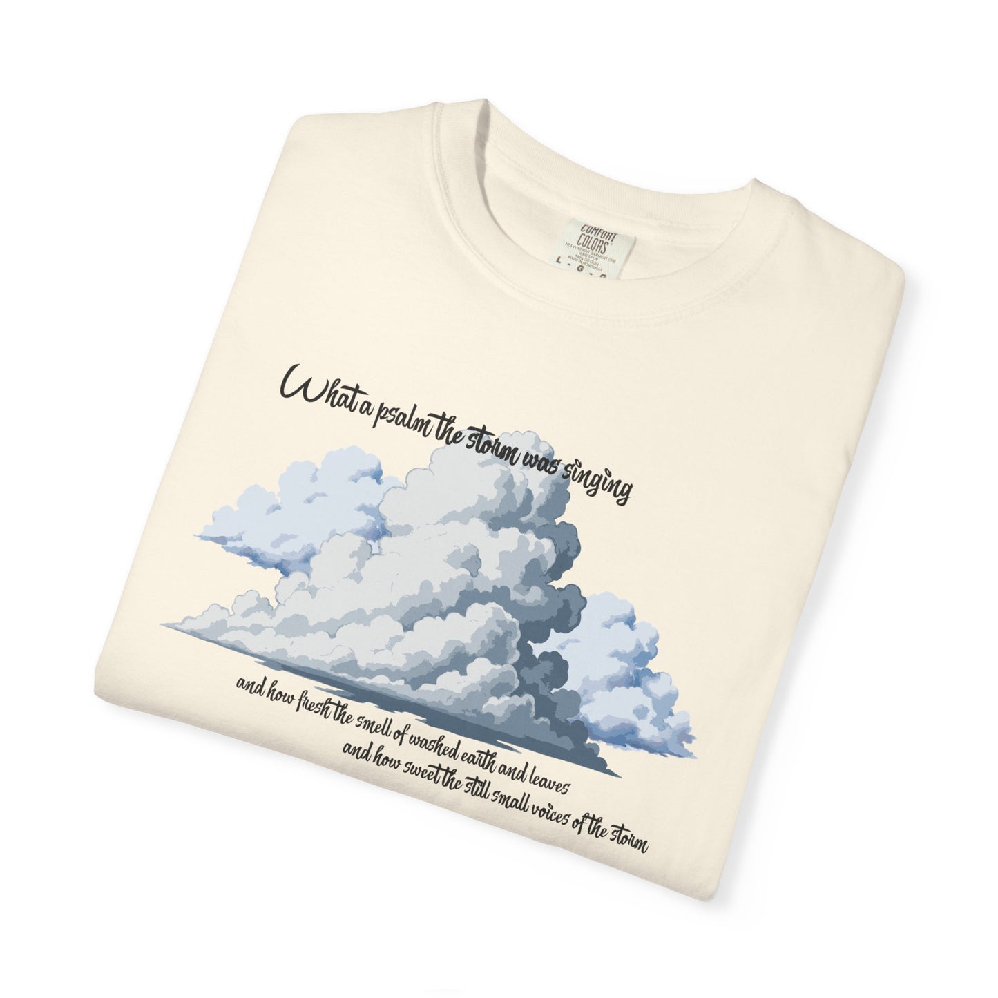 After the Storm T-Shirt