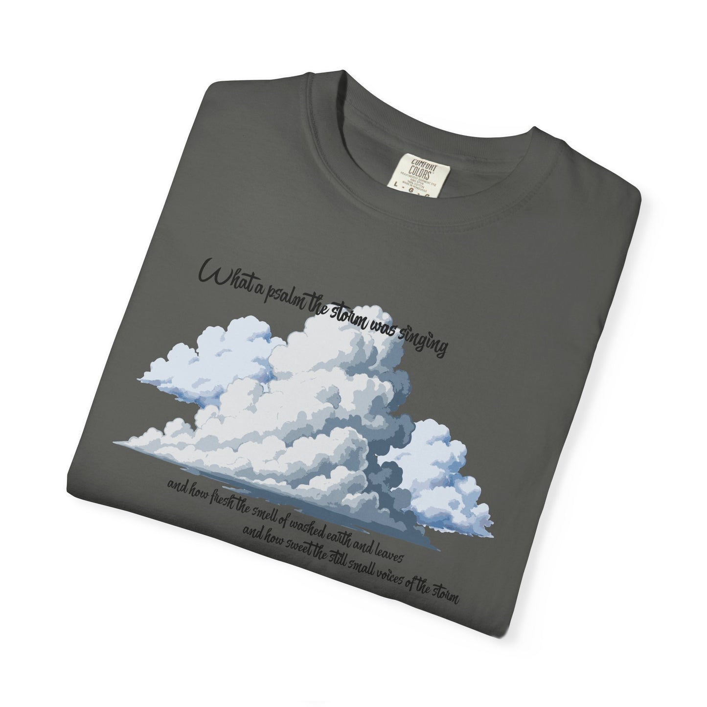 After the Storm T-Shirt