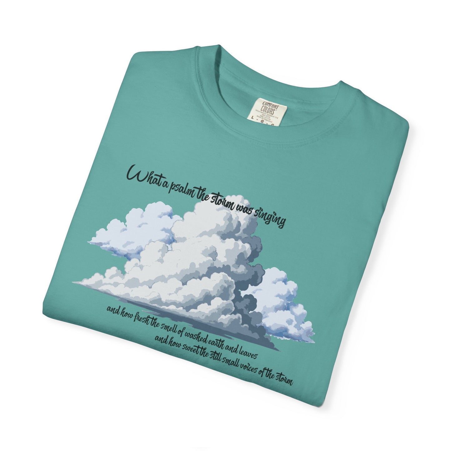 After the Storm T-Shirt