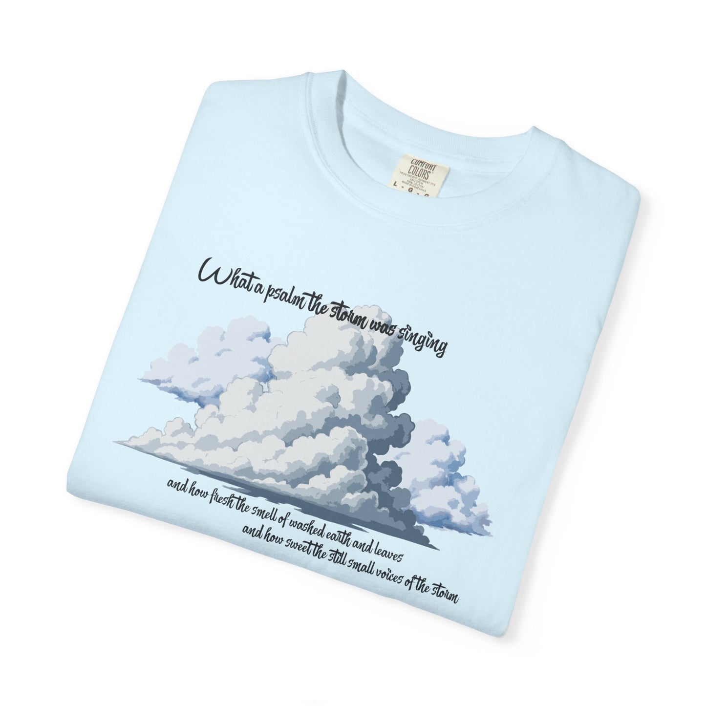 After the Storm T-Shirt
