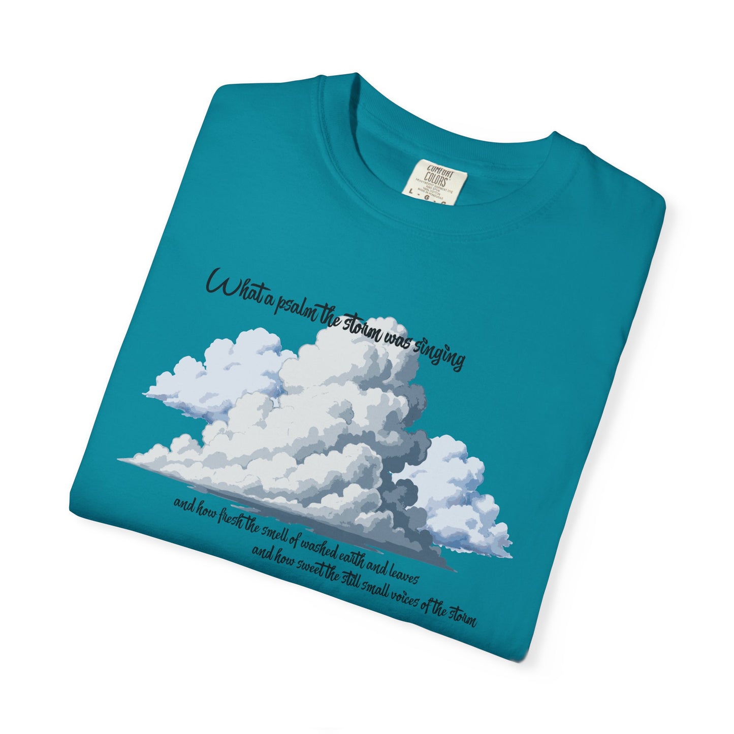 After the Storm T-Shirt