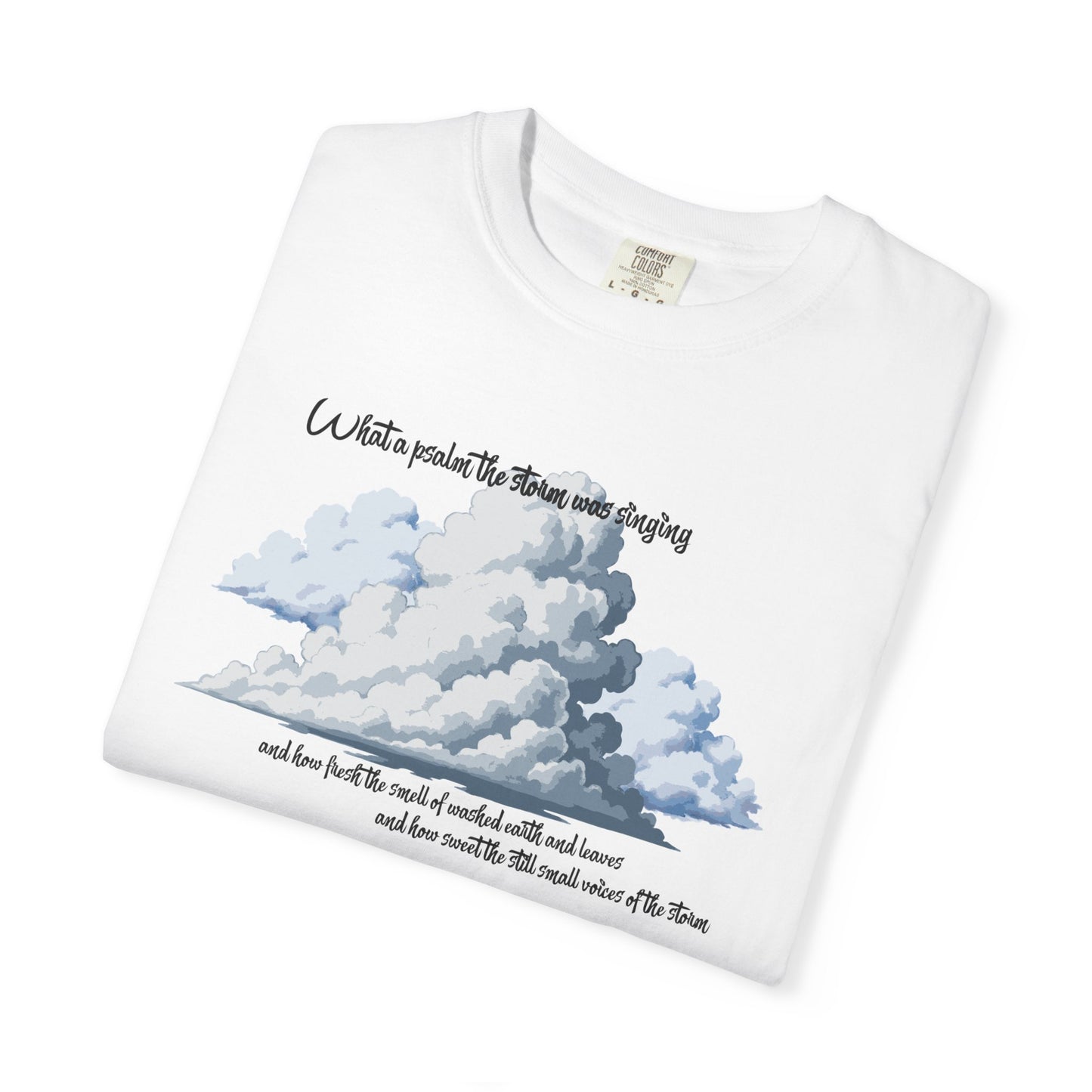 After the Storm T-Shirt