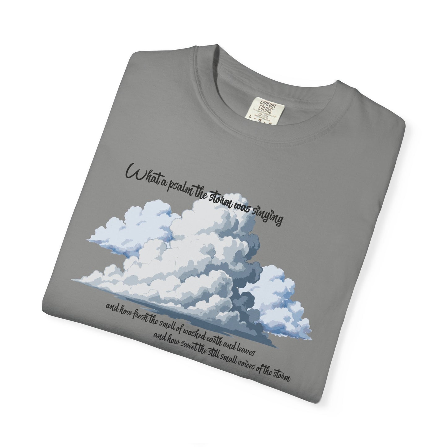 After the Storm T-Shirt