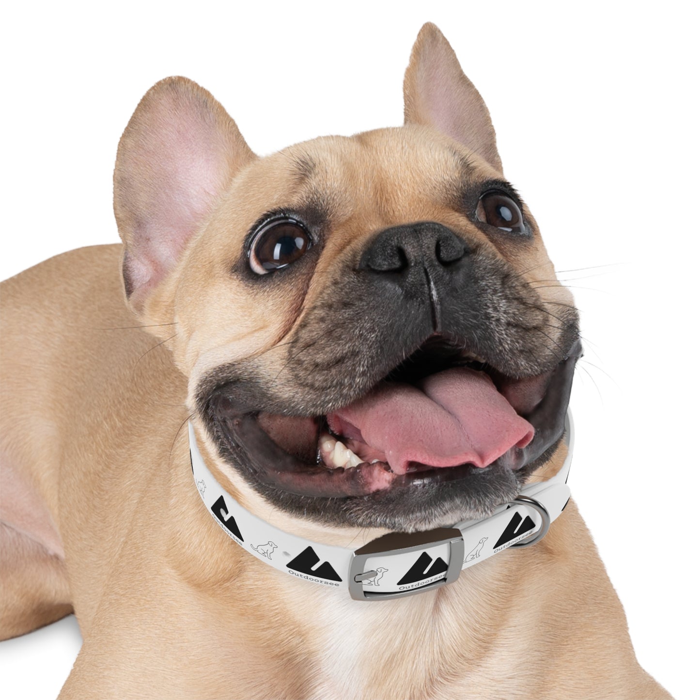 Outdoorsee Dog Collar