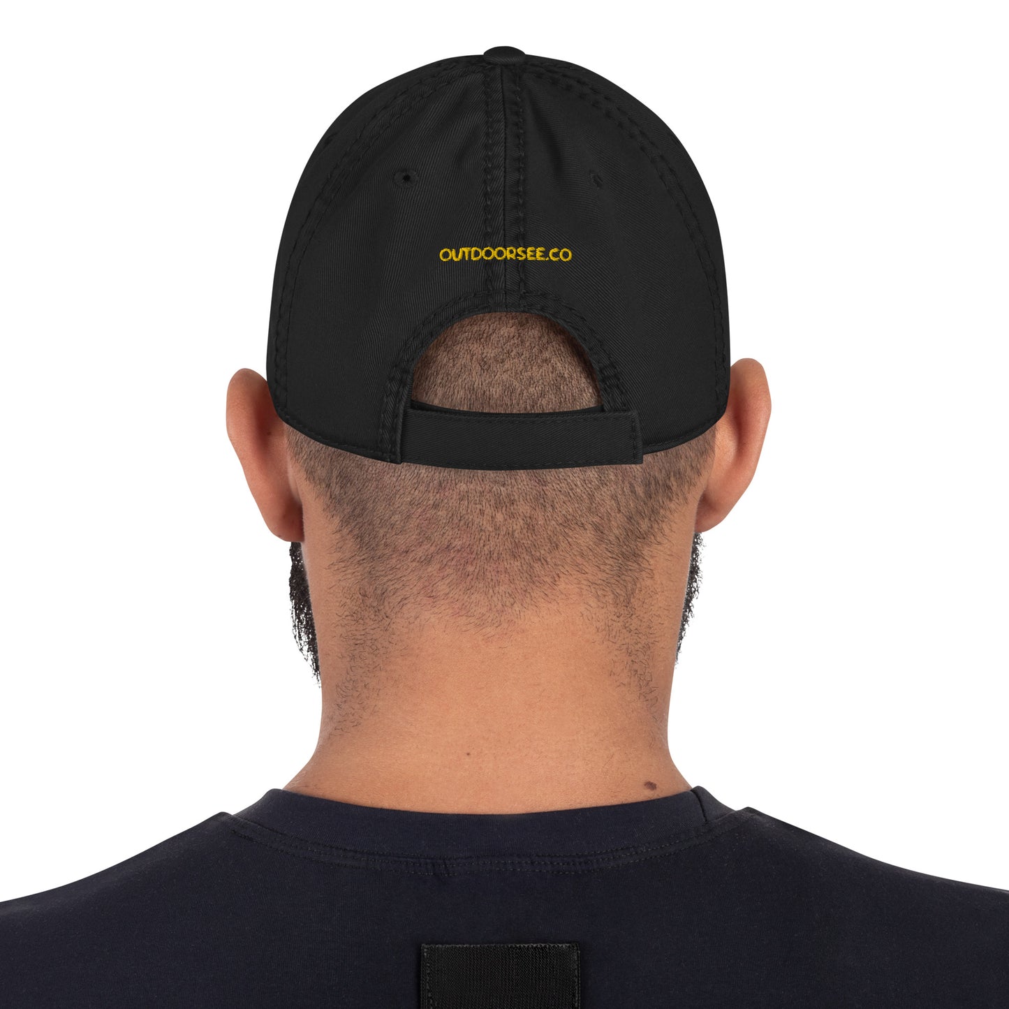 Mountainscape Distressed Dad Hat