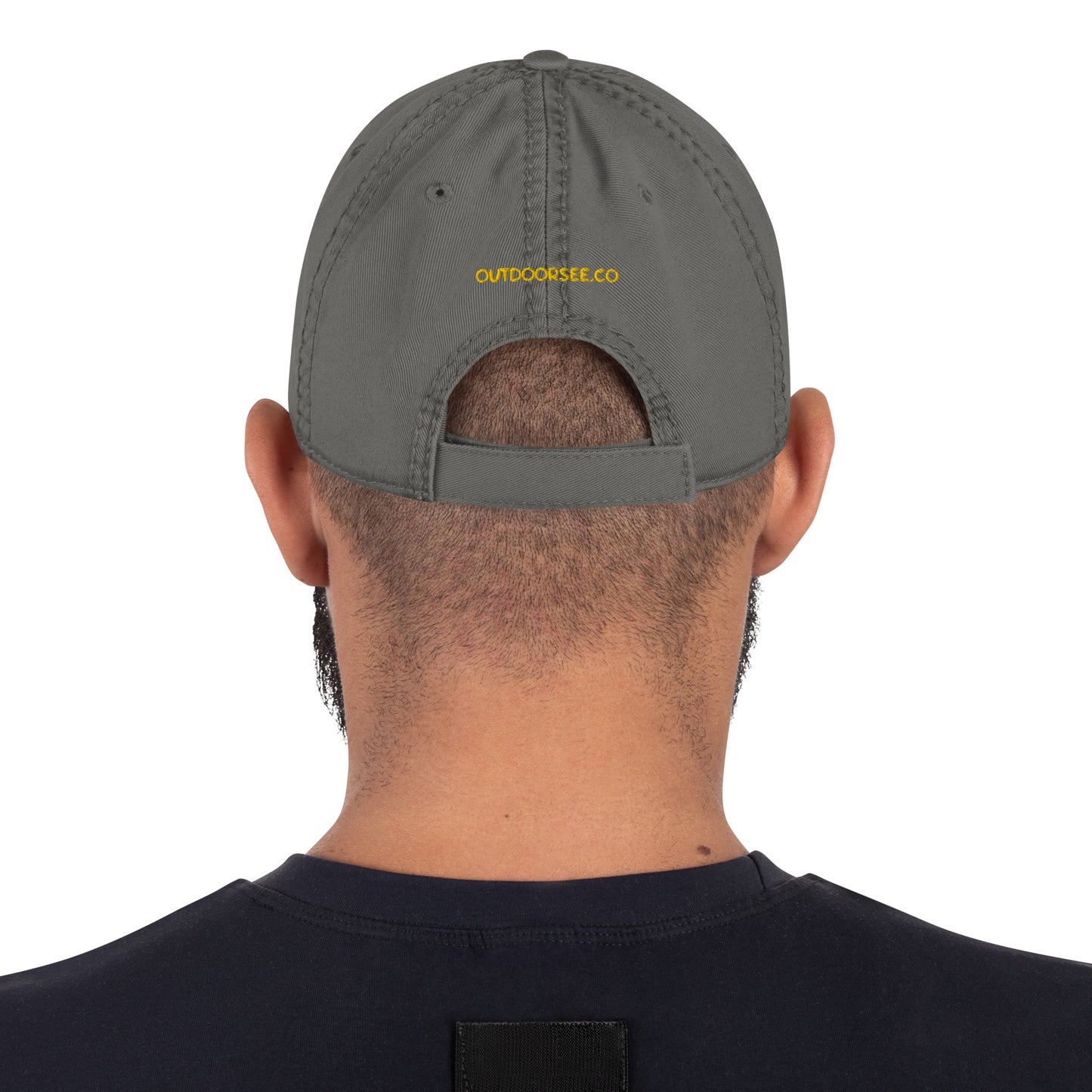 Mountainscape Distressed Dad Hat