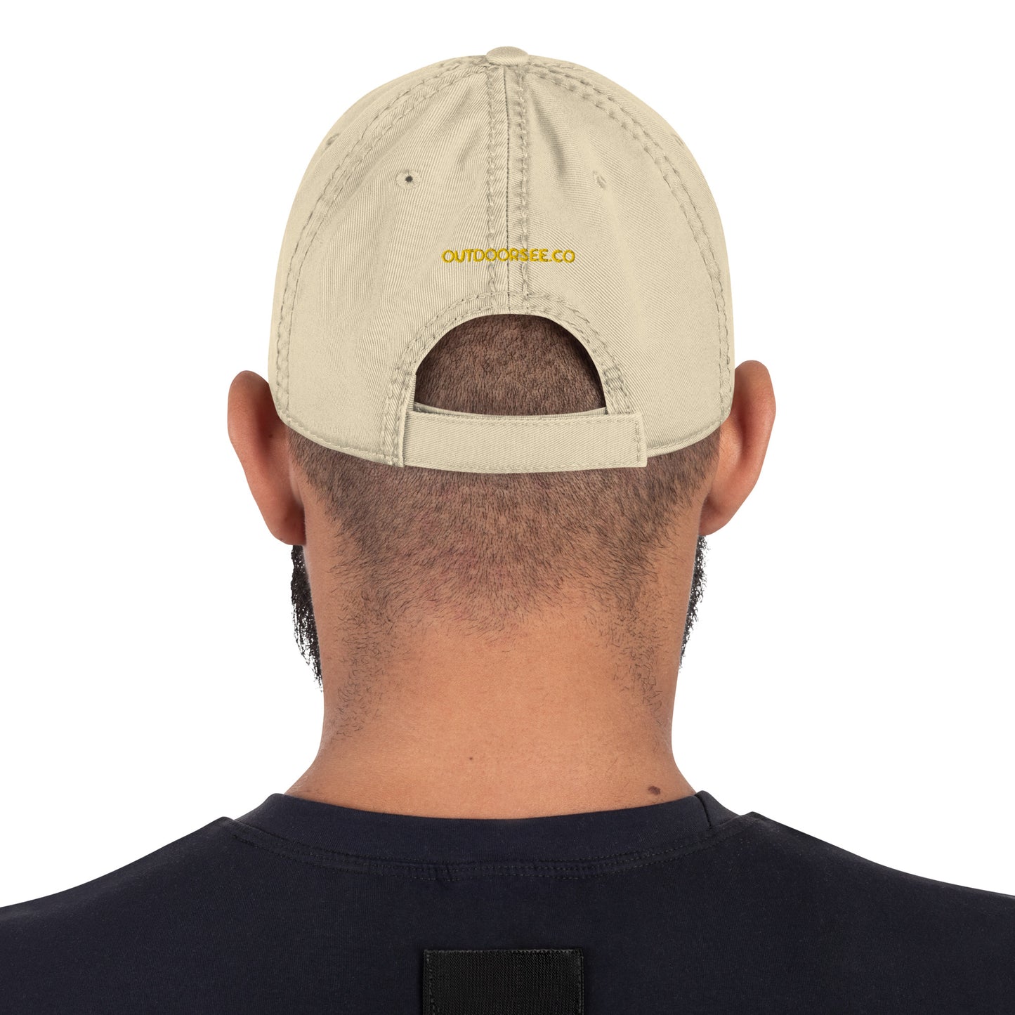 Hike 2 Distressed Dad Hat