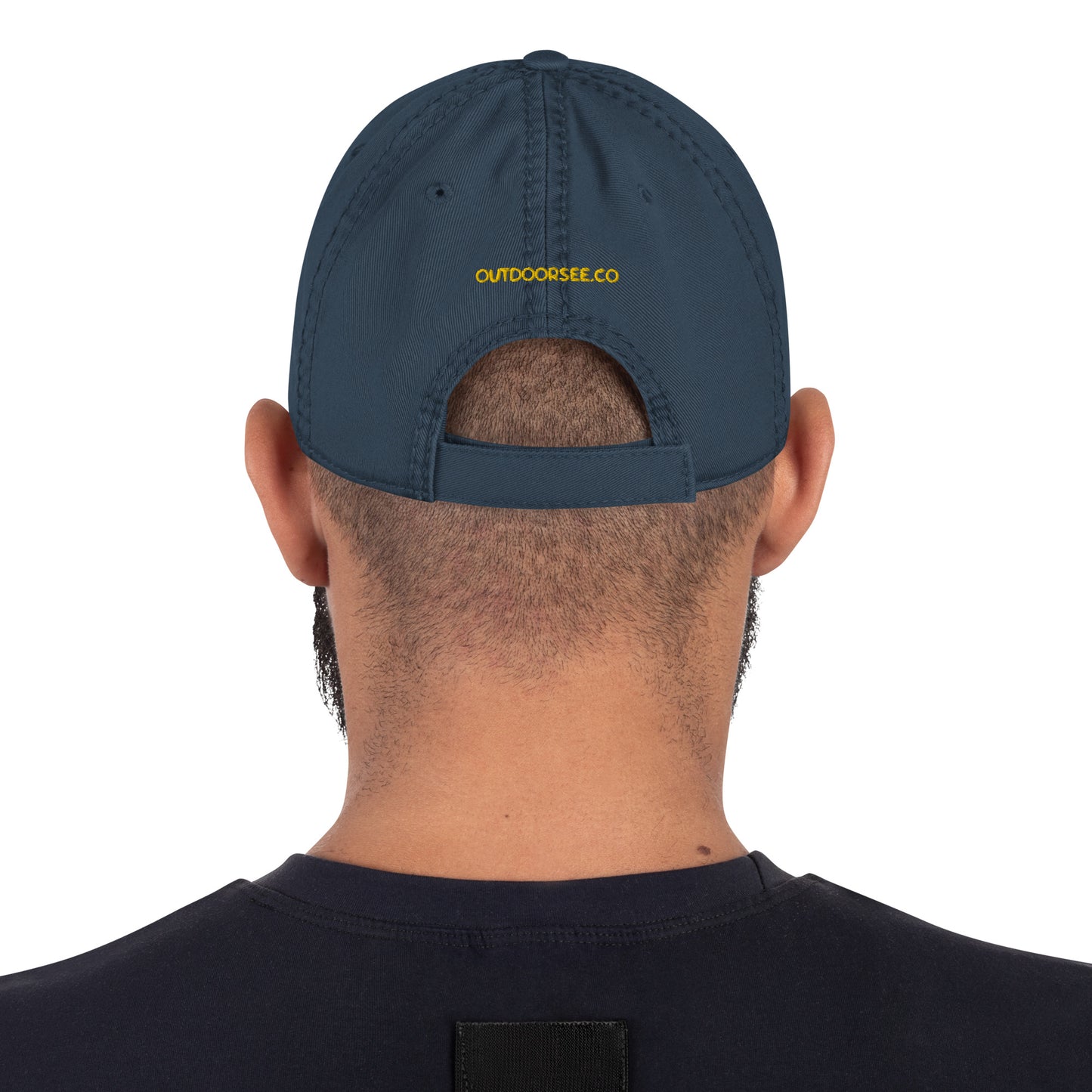 Mountainscape Distressed Dad Hat